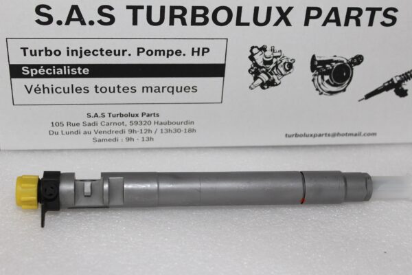 Injecteur DELPHI EMBR00101D-F40
