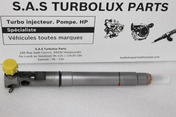 Injecteur DELPHI EMBR00301D-F43