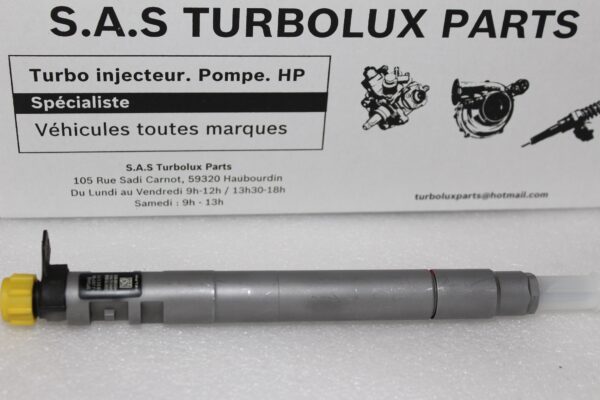 Injecteur DELPHI EMBR00101D-F40 – Image 2