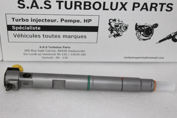 Injecteur DELPHI EMBR00203D-F36