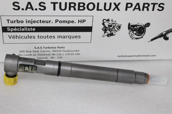 Injecteur DELPHI EMBR00301D-F43
